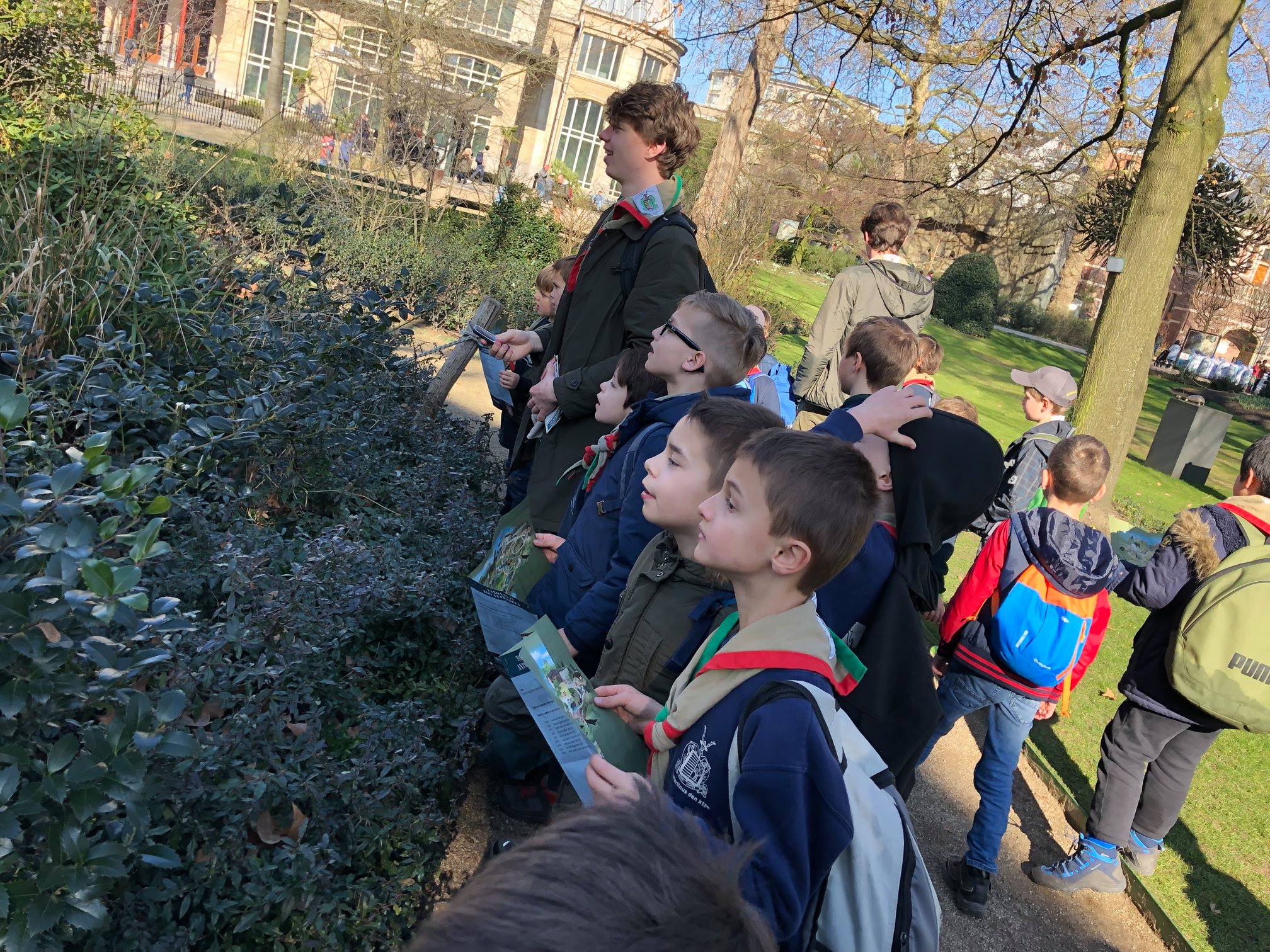 Sint-Martinus den XIIde - Zoo Antwerpen Kapoenen